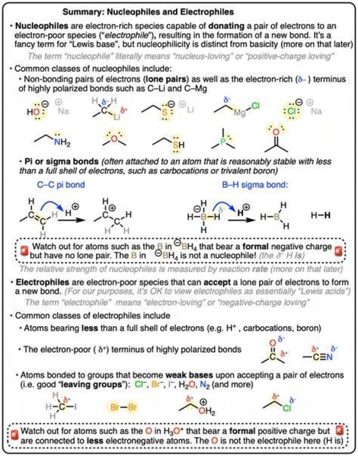 Are alkynes nucleophiles or electrophiles?