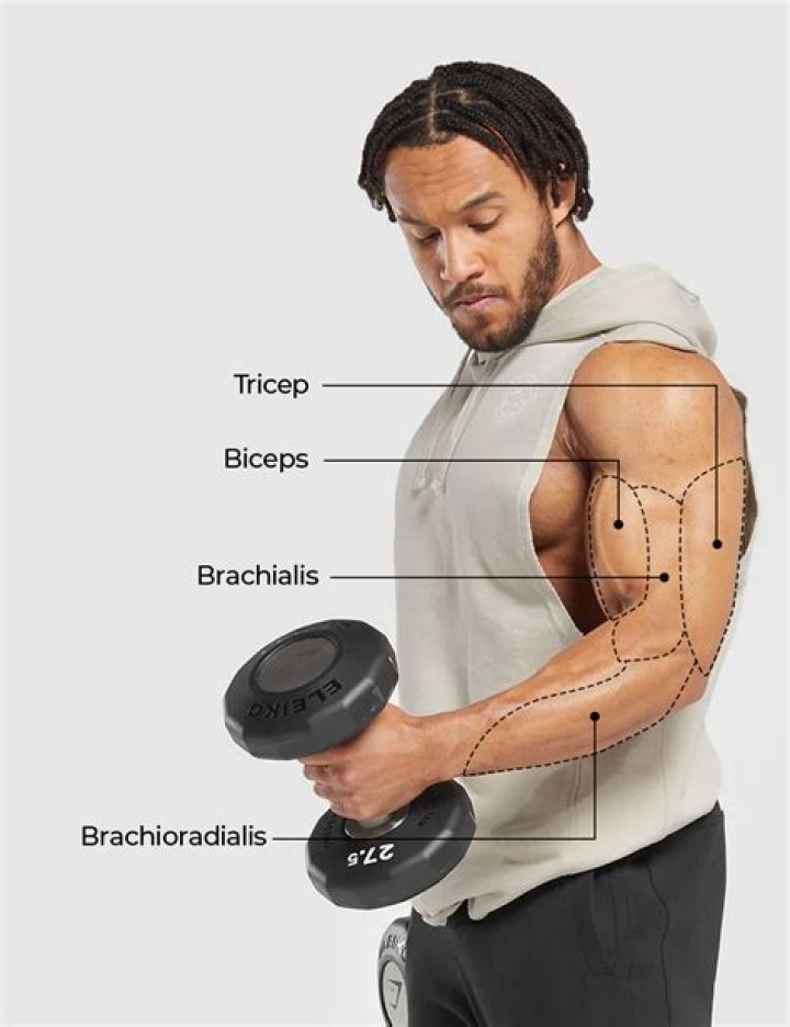 Are biceps useful in fighting?