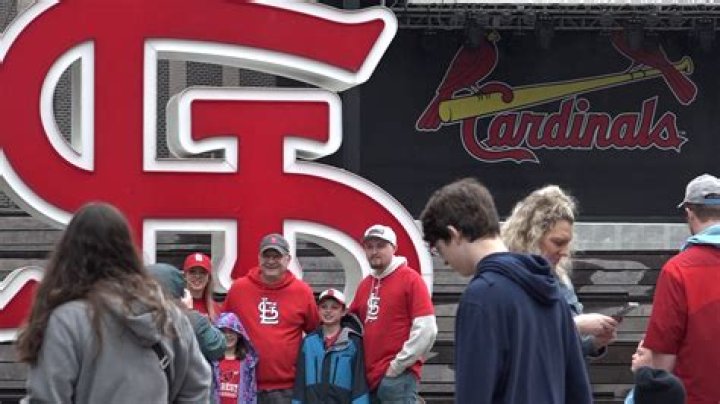 Are Cardinals fans the best in baseball?