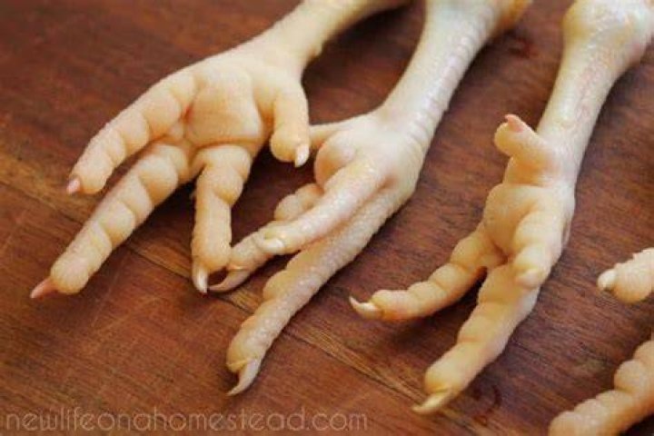 Are chicken feet called Paws?