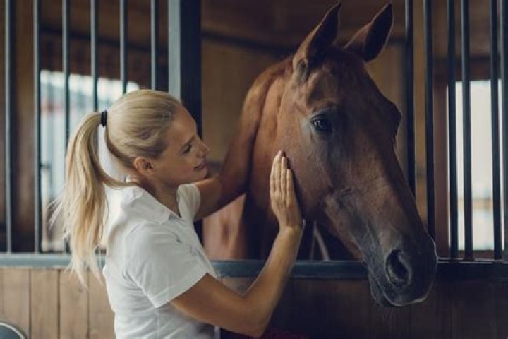 Are female horses faster than males?