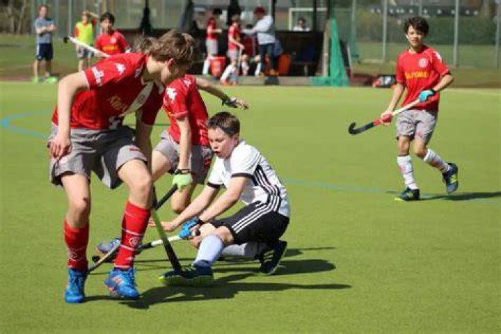 Are field hockey and lacrosse balls the same?
