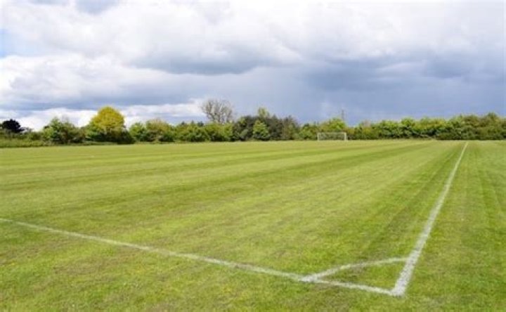 Are football pitches real grass?