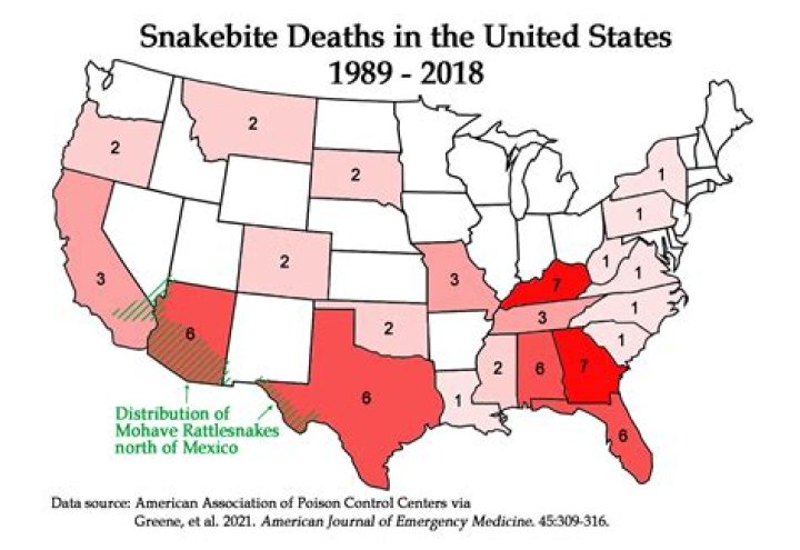 Are rattlesnake bites fatal?
