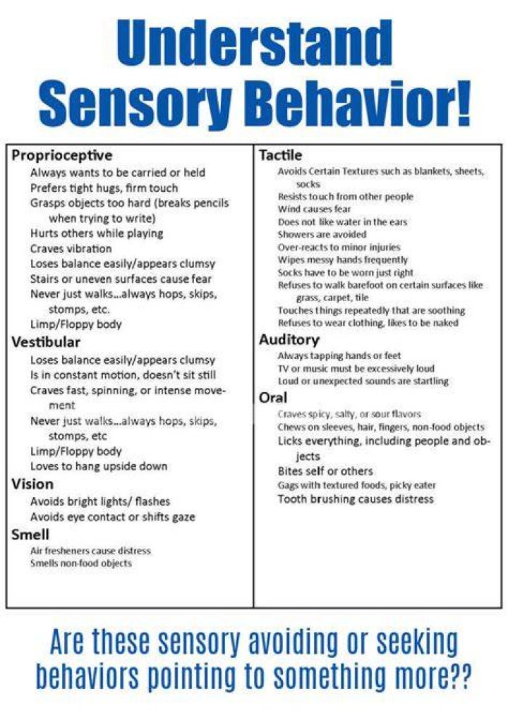 Can a child be both sensory seeking and avoiding?