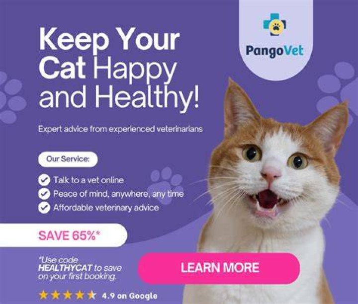 Can I give my cat clam juice?
