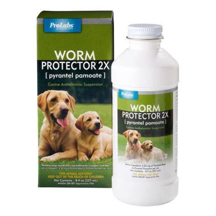 Can I give my dog dewormer if he doesn't have worms?