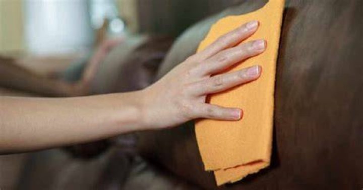 Can I use shoe polish on leather sofa?