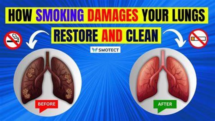 Can lungs fix themselves?