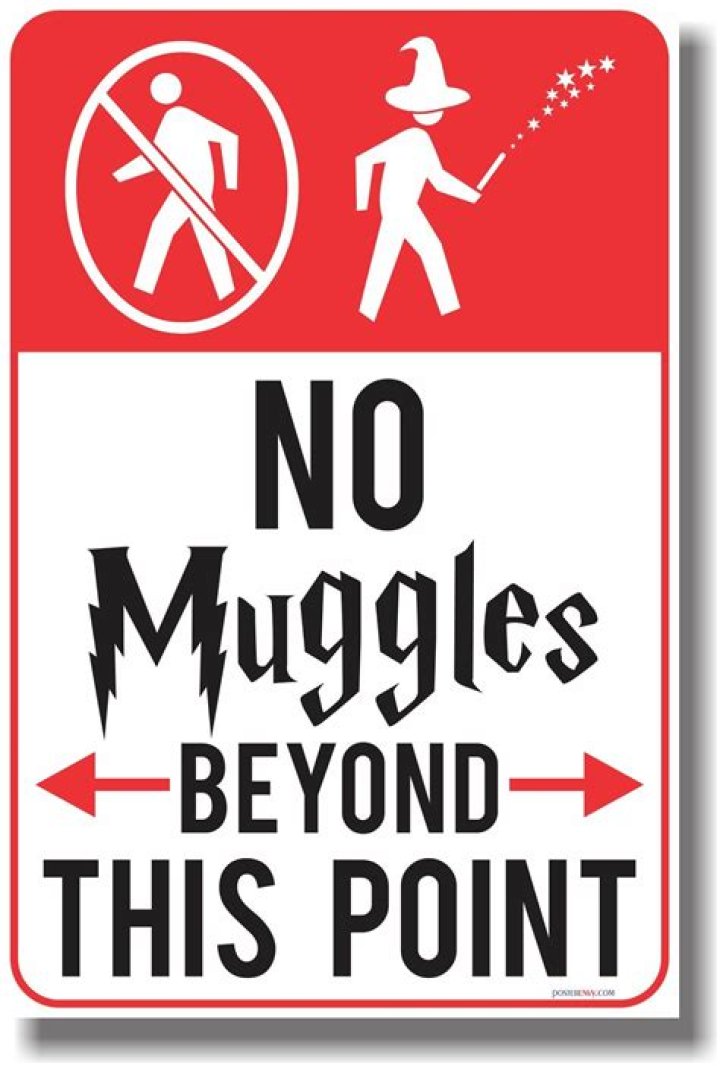Can Muggles see magic?