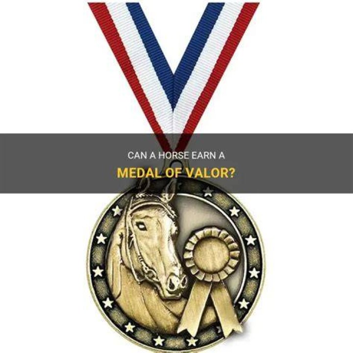 Can ROC win a medal?