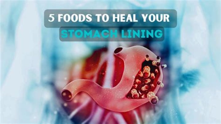 Can stomach lining repair itself?