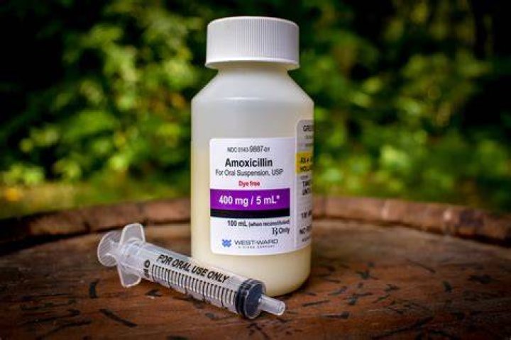 Can you take amoxicillin for an abscess?