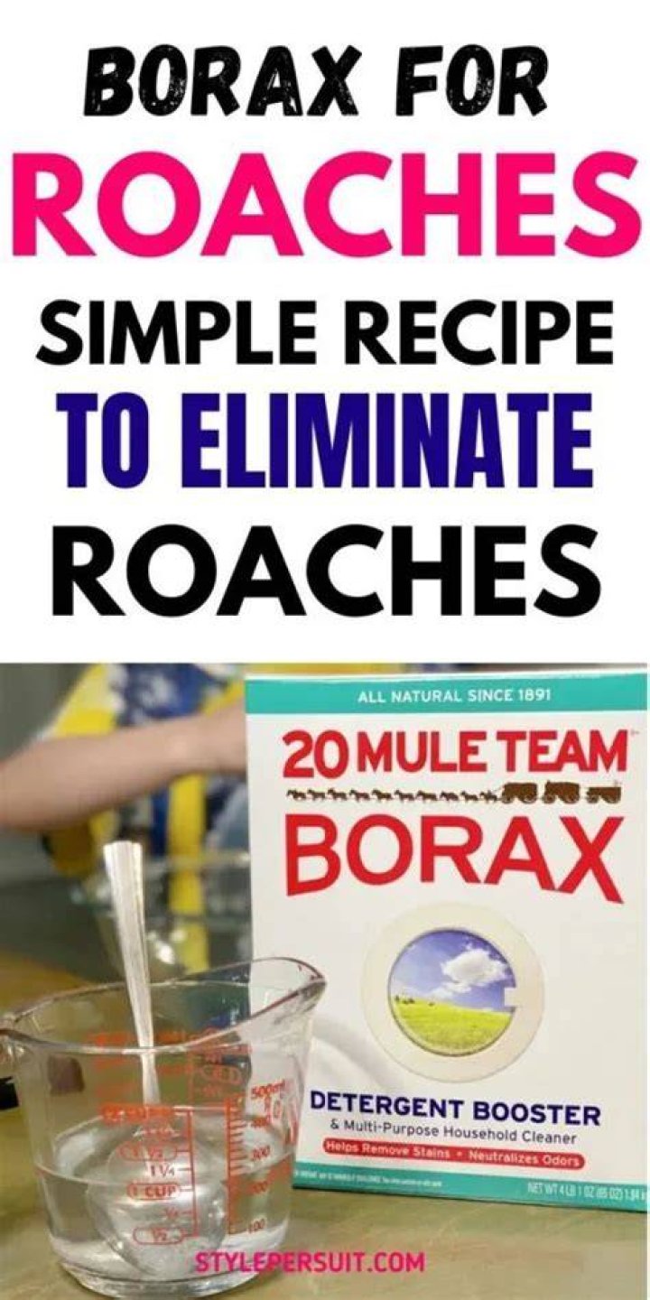 Can you use borax on couch?