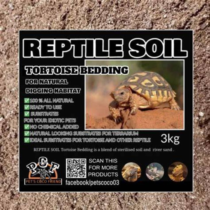 Can you use newspaper as tortoise bedding?