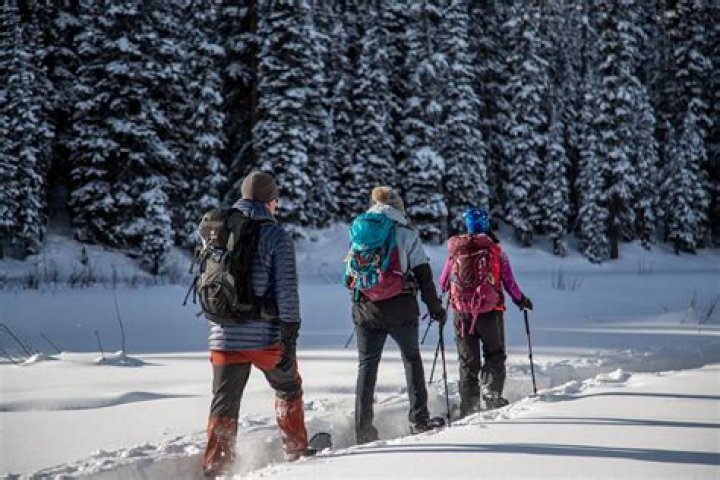 Can you walk in deep snow with snowshoes?