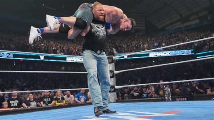 Did Brock Lesnar win his match?