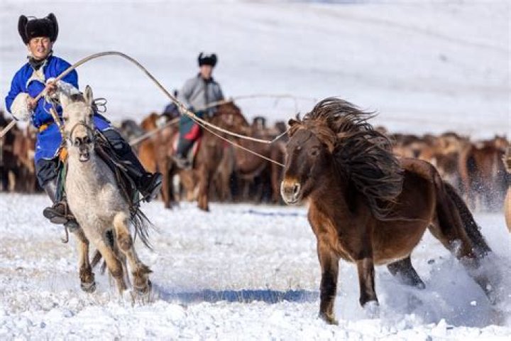 Did Mongols use stirrups?