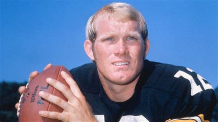 Did Terry Bradshaw call his own plays?