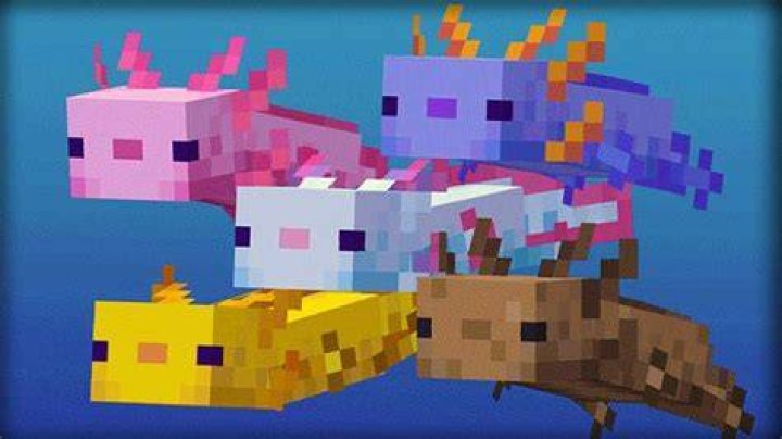 Do axolotls Despawn?