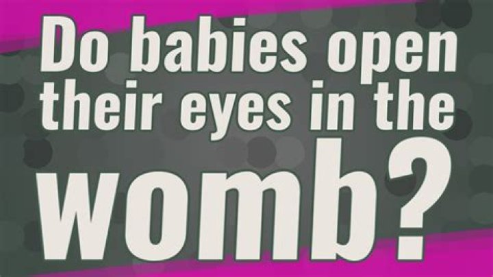 Do babies open eyes womb?