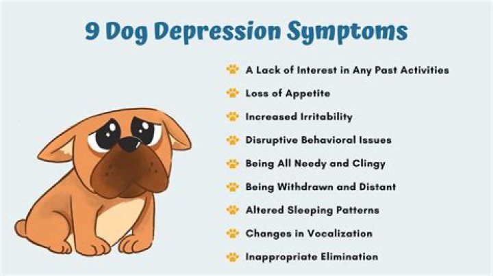 Do dogs get depressed when you have a baby?