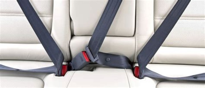 Do F1 drivers have seat belts?