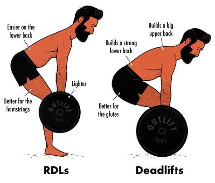 Do heavy deadlifts build muscle?
