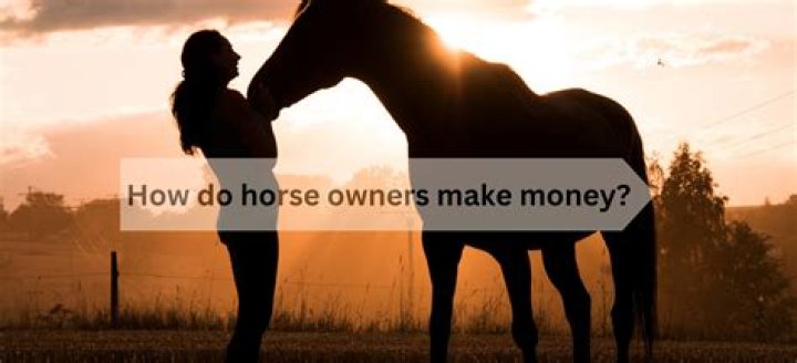 Do NHL owners make money?