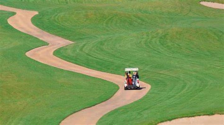Do pros have to hit off cart path?