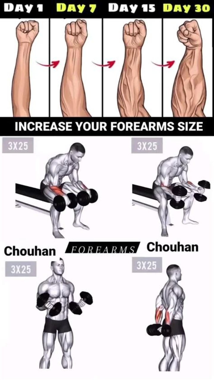 Do pull-ups increase forearm size?