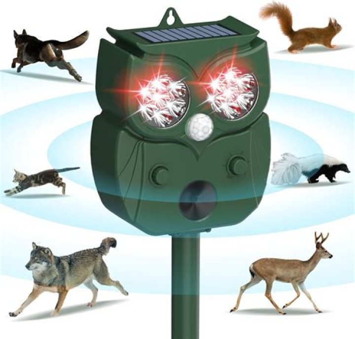 Do red flashing lights deter coyotes?