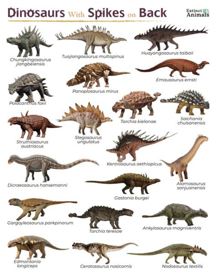 Do spikes make a big difference?