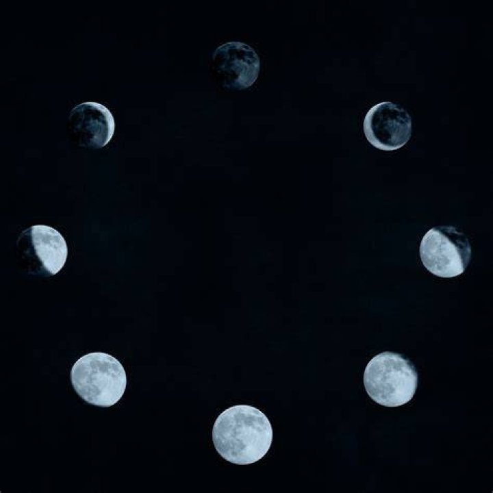 Does a new moon affect behavior?