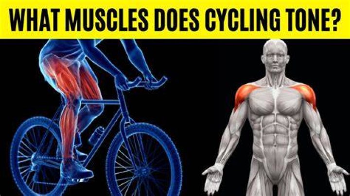 Does biking tone your arms?