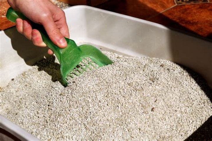 Does cat litter take the dye out of red diesel?