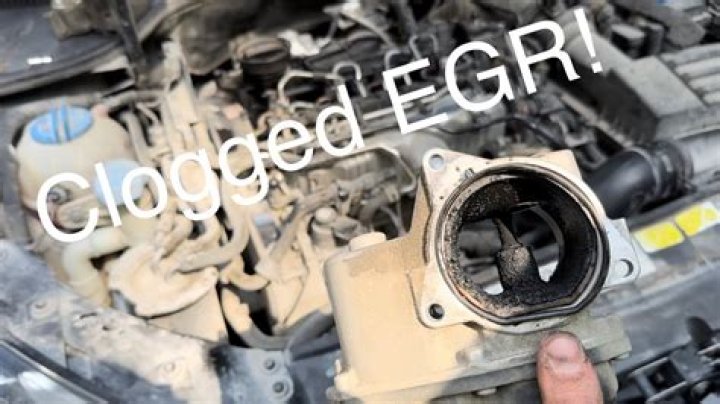 Does EGR delete damage engine?