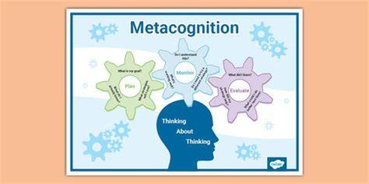 Does everyone have metacognition?