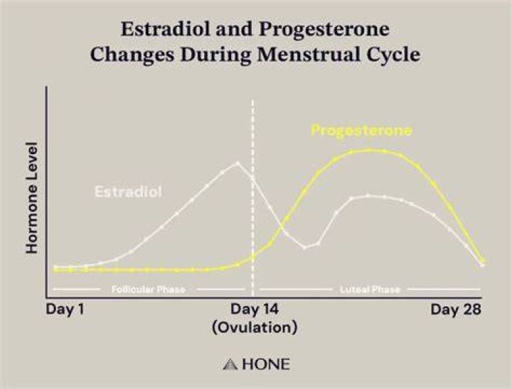 Does progesterone stop your period?