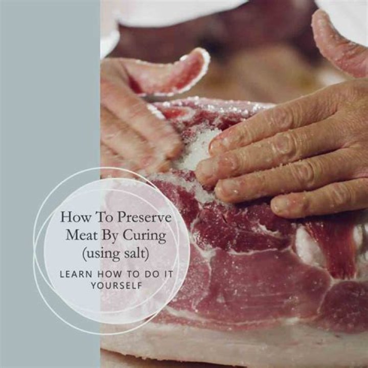 Does putting salt on meat preserve it?