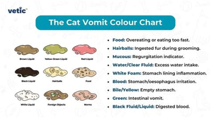 Does salt water stop vomiting?