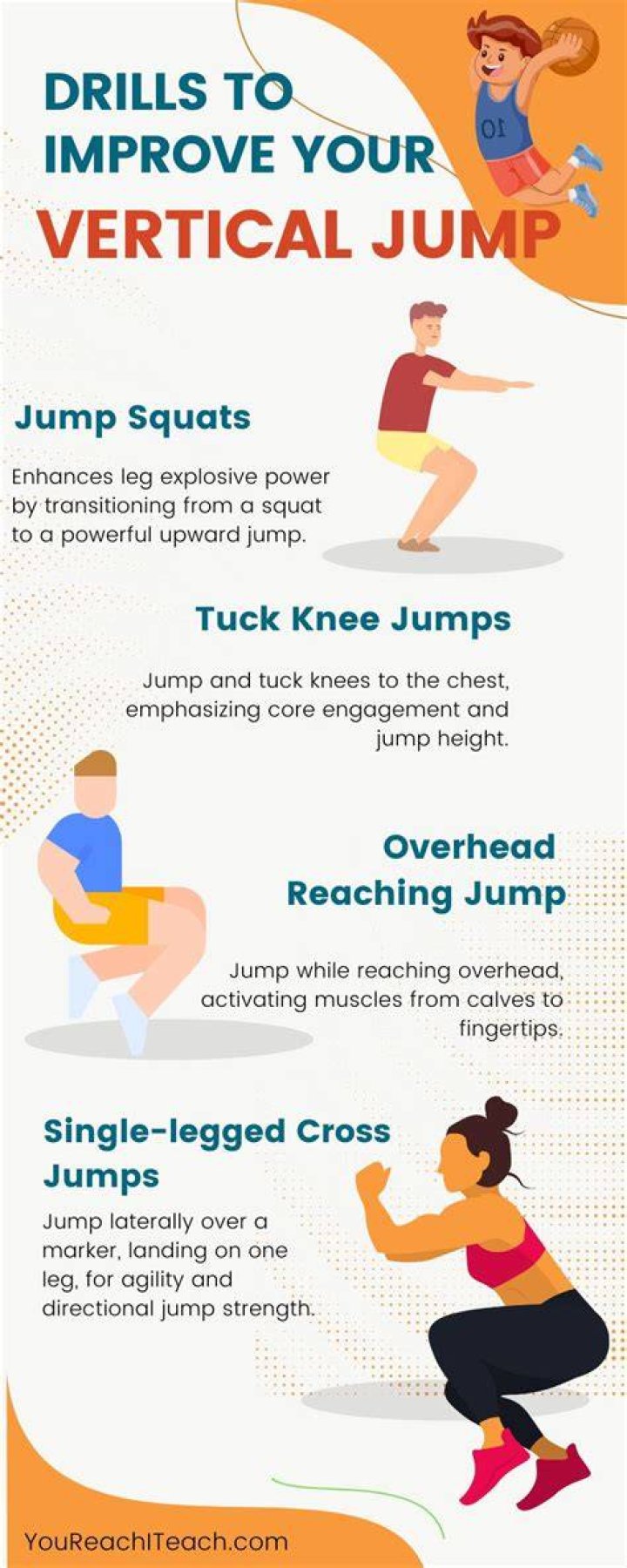 Does squatting increase vertical?