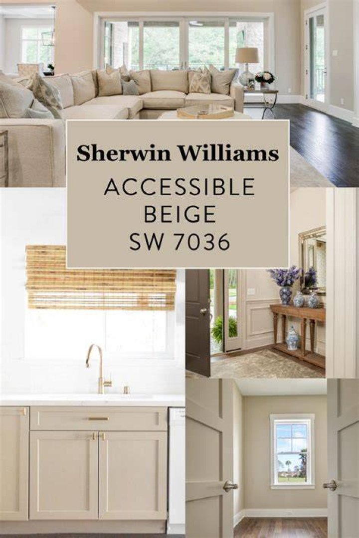 Does SW Alabaster go with accessible beige?