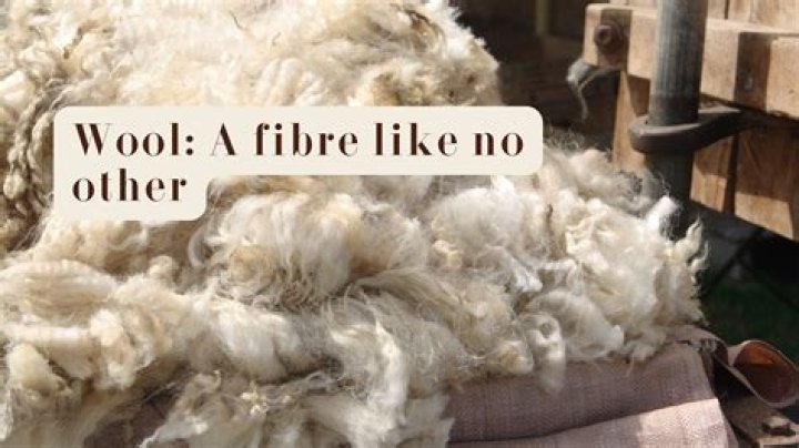 Does wool keep you warm in winter?