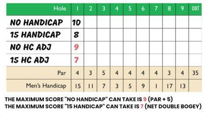 Does your handicap count in stroke play?