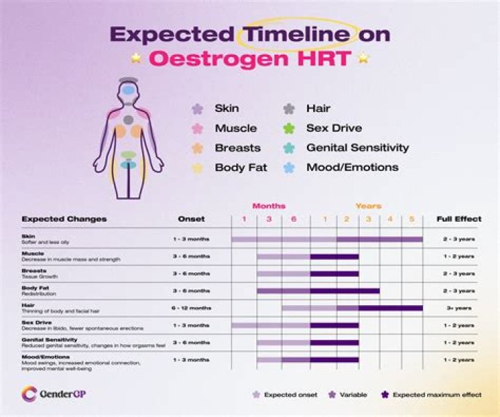 How can estrogen increase hair growth?