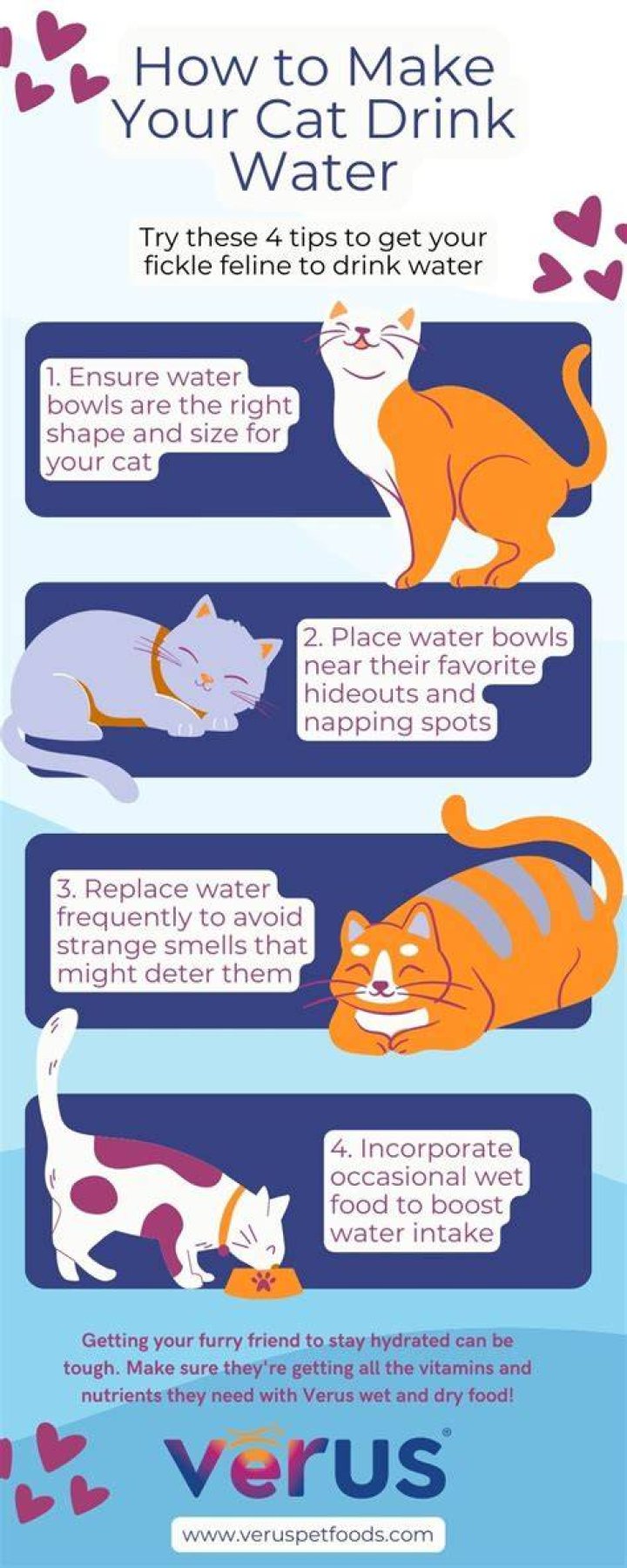How can I force my cat to drink water?