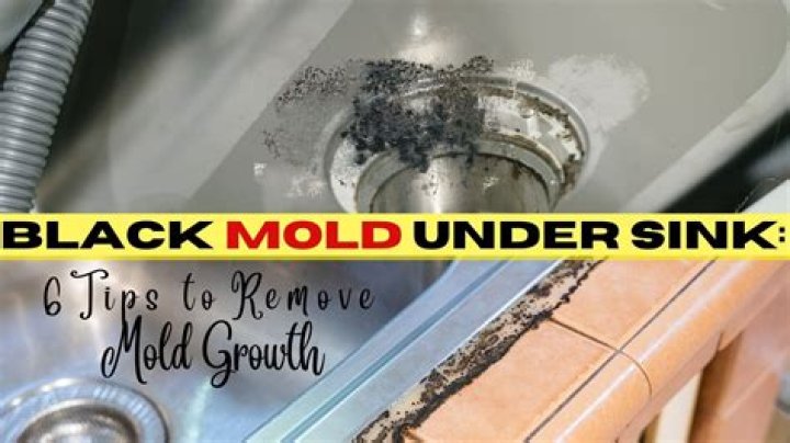 How do I get rid of black mold under my toilet rim?