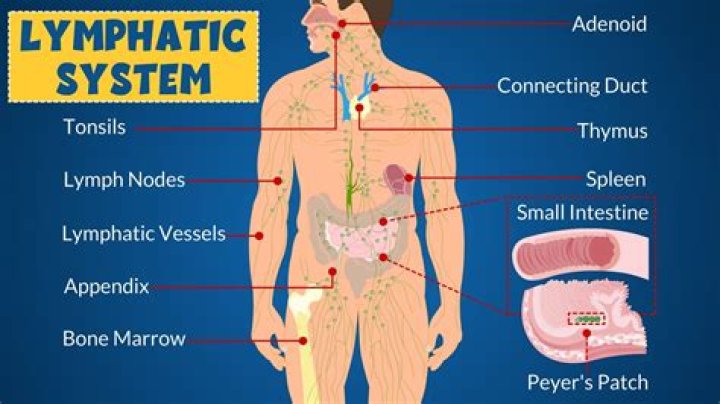 How do I know if my lymphatic system is clogged?
