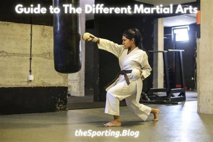 How do martial arts lose weight?